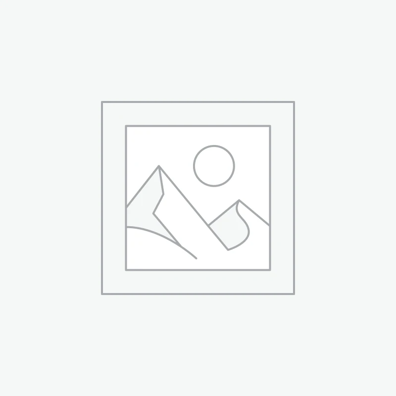 Air Jordan 4 OG Bred Reimagined